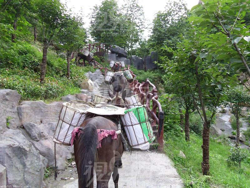 富川骡马运输队电话